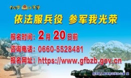 陆河新闻爆料2025,年度焦点事件盘点